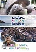 サムネイル画像