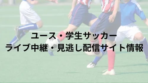 全国高校サッカー選手権の画像