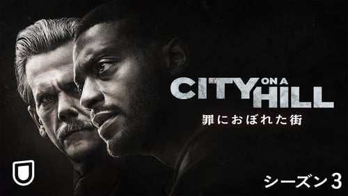 CITY ON A HILL / 罪におぼれた街　シーズン3の画像