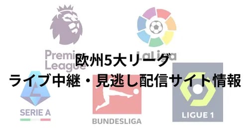 サッカープレミアリーグの画像